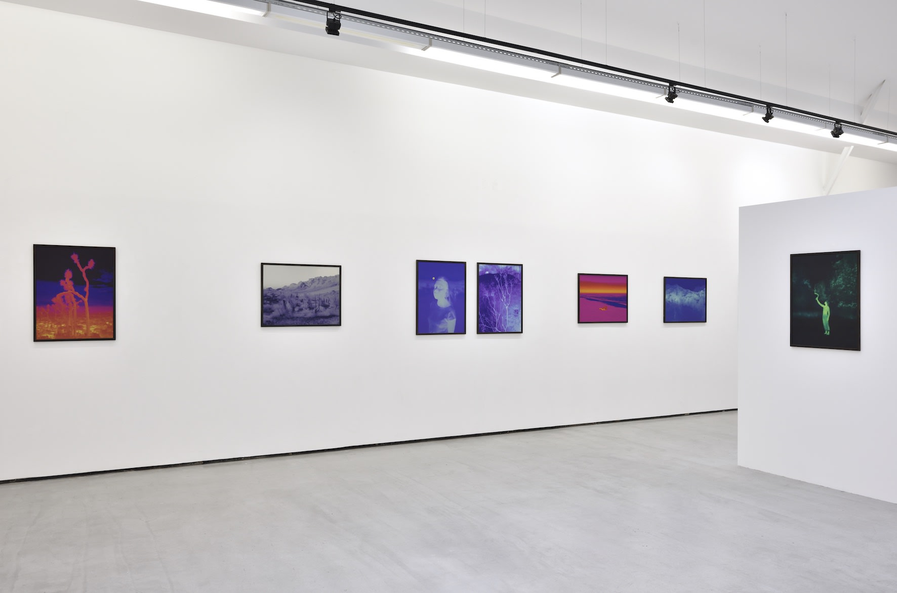 Photo © Rebecca Fanuele