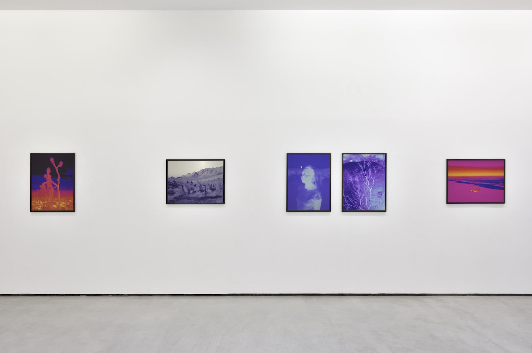 Photo © Rebecca Fanuele