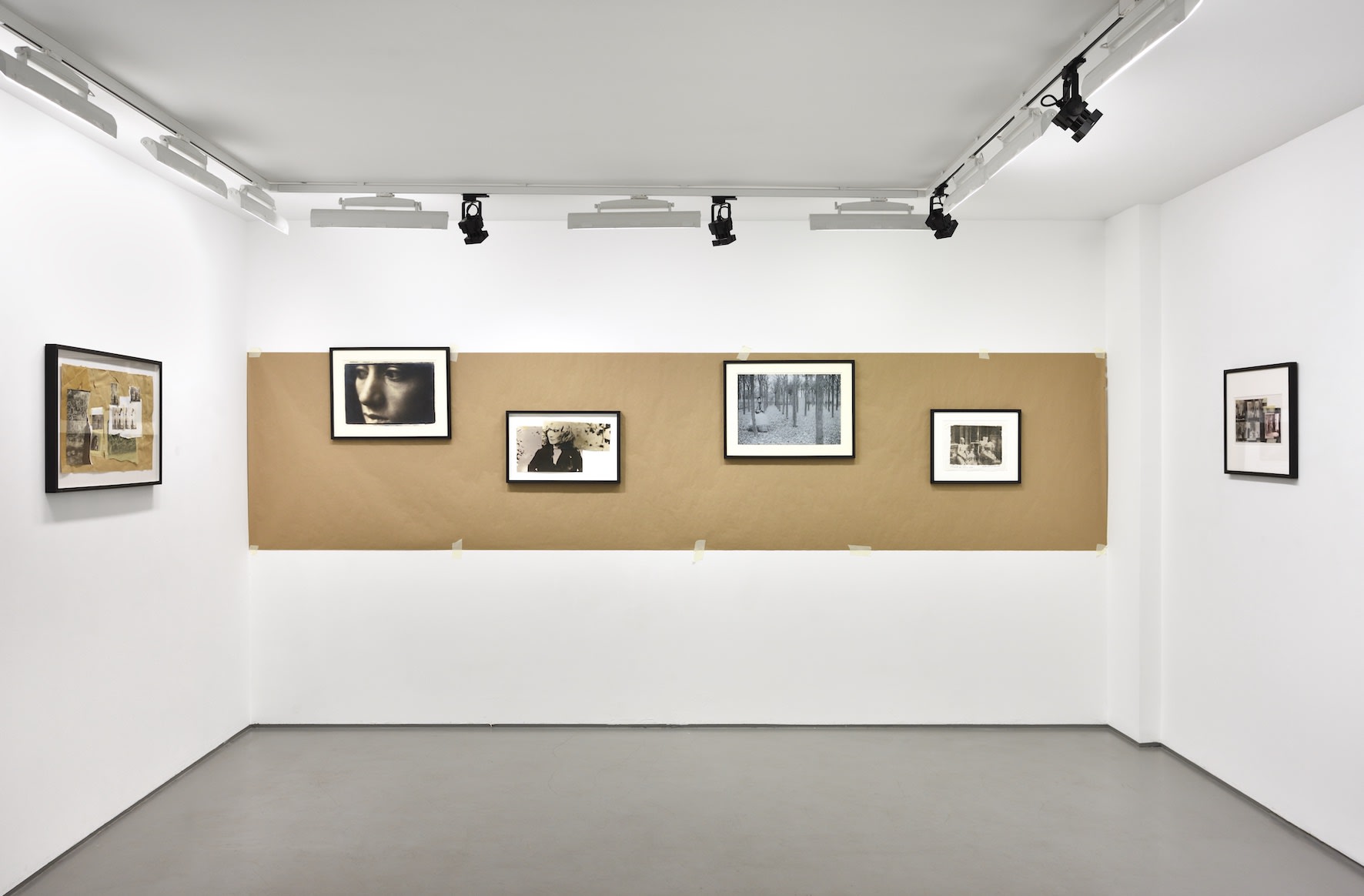 Photo © Rebecca Fanuele