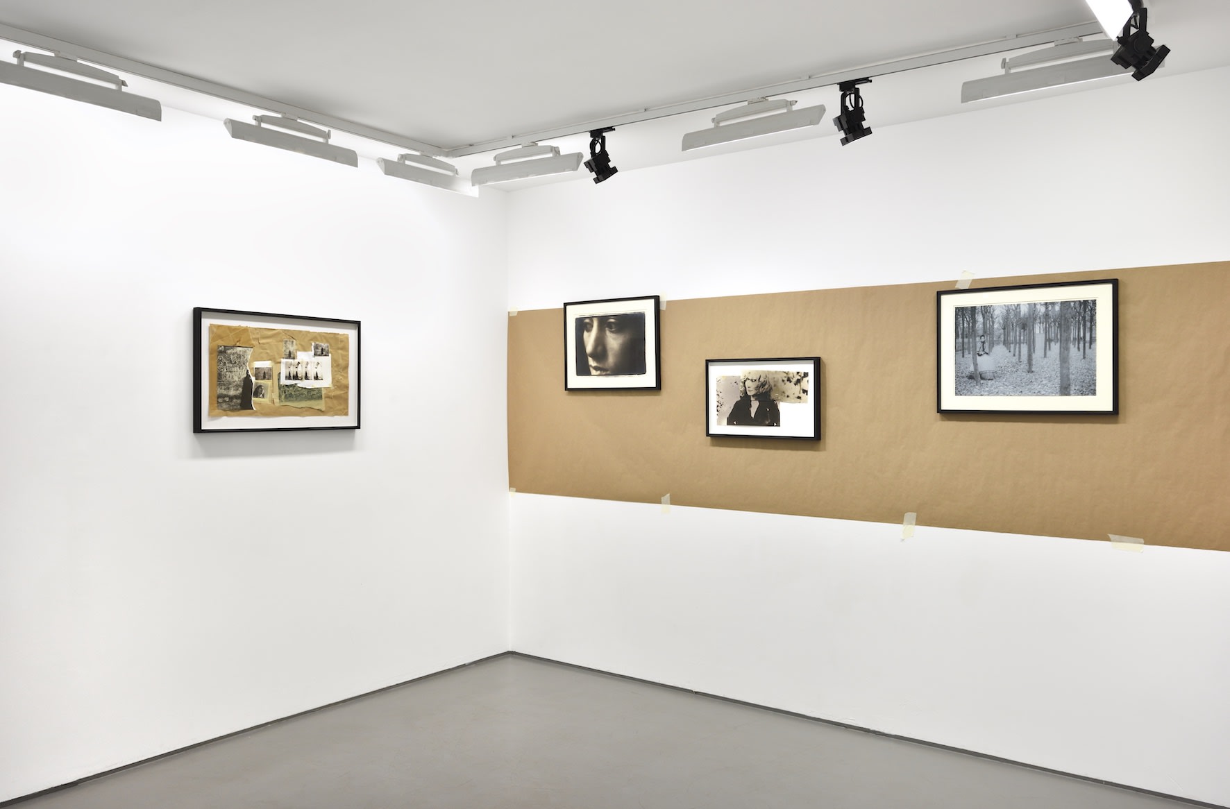 Photo © Rebecca Fanuele