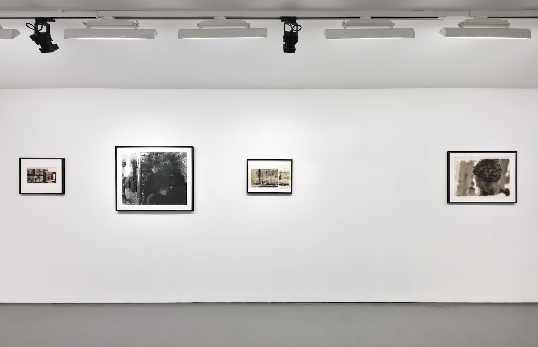 Photo © Rebecca Fanuele