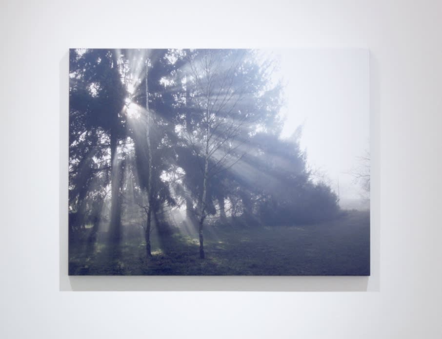 Réelle Présence, w/ Véronique Bourdier, Lawrence Carroll, Thibault Hazelzet, Bérengère Henin, Kassia Knao, Tetsumi Kudo, Isabelle Le Minh, Guillaume Lebelle 28.01 - 25.02.2012