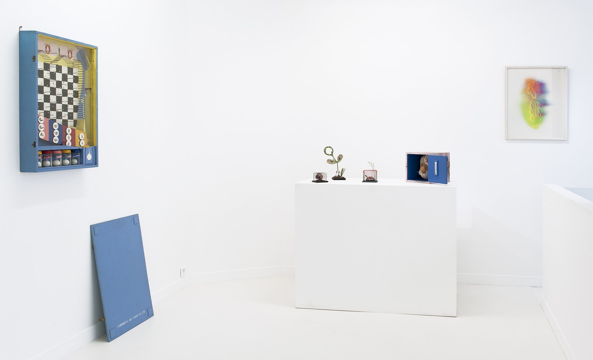 Tetsumi Kudo Human Cultivation 05.10 - 09.11.2013