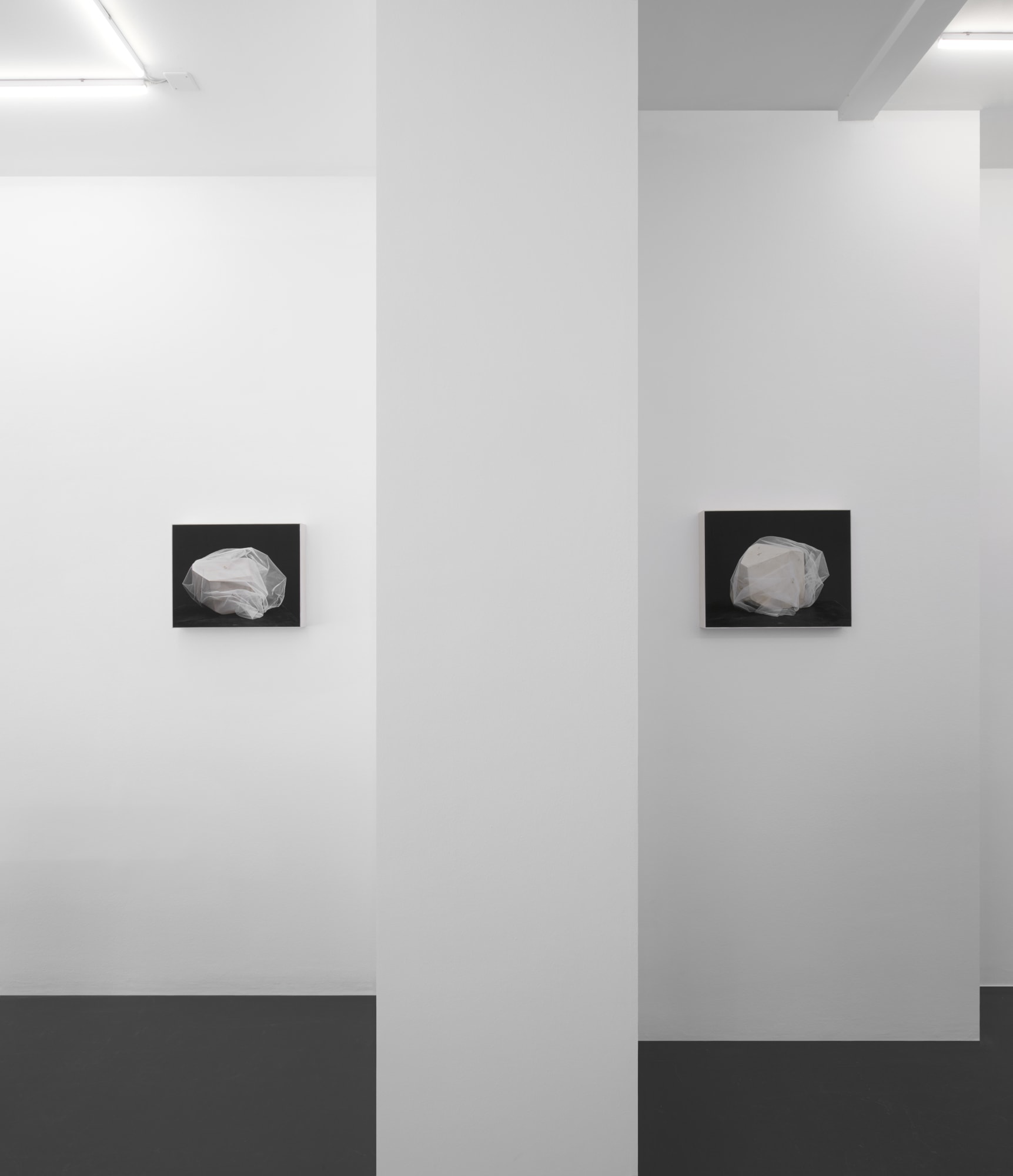 SCULPTURES / PHOTOGRAPHIES