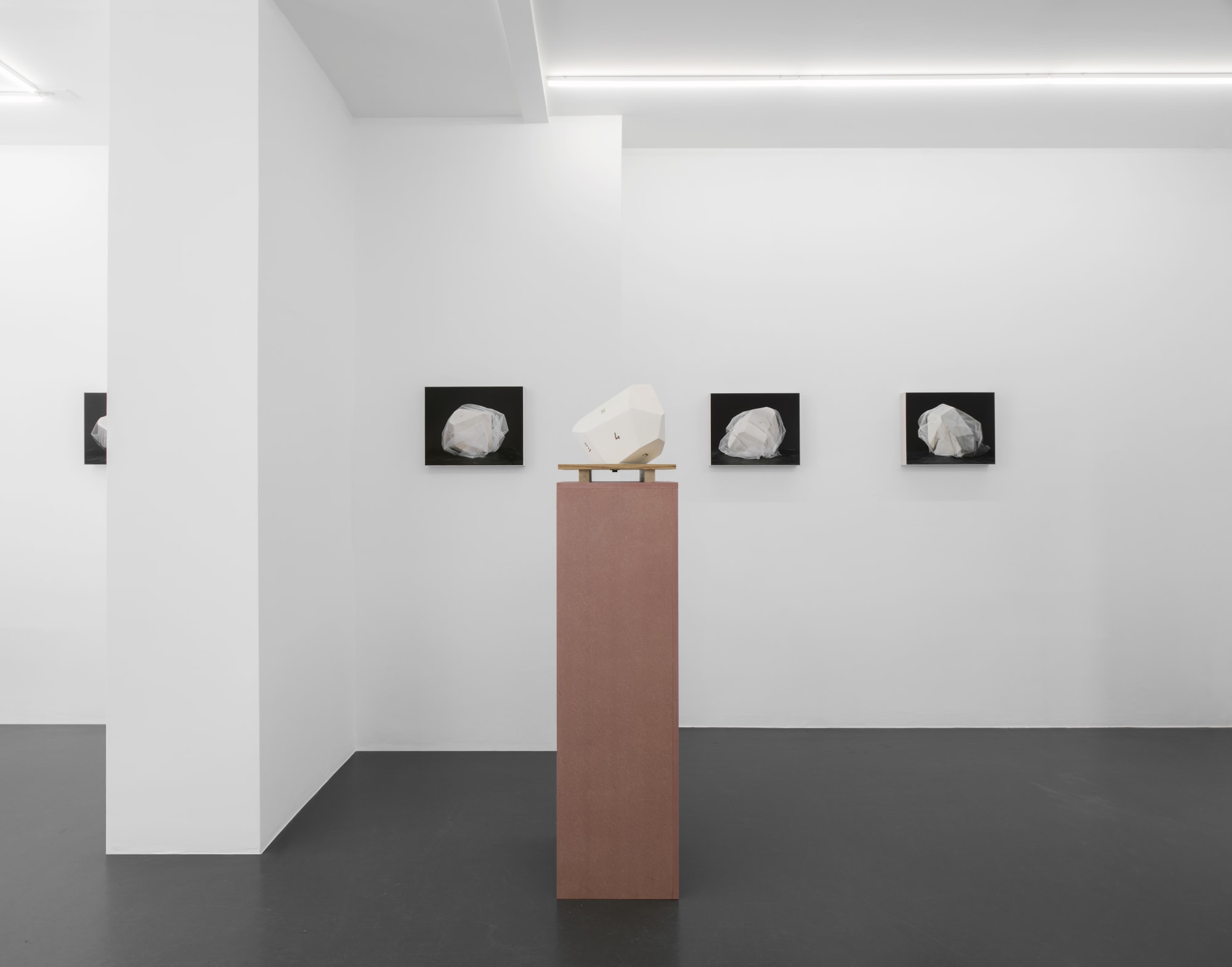 SCULPTURES / PHOTOGRAPHIES