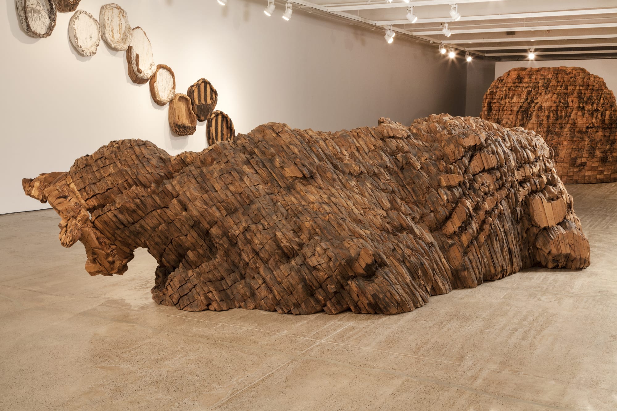 Ursula von Rydingsvard: The Contour of Feeling