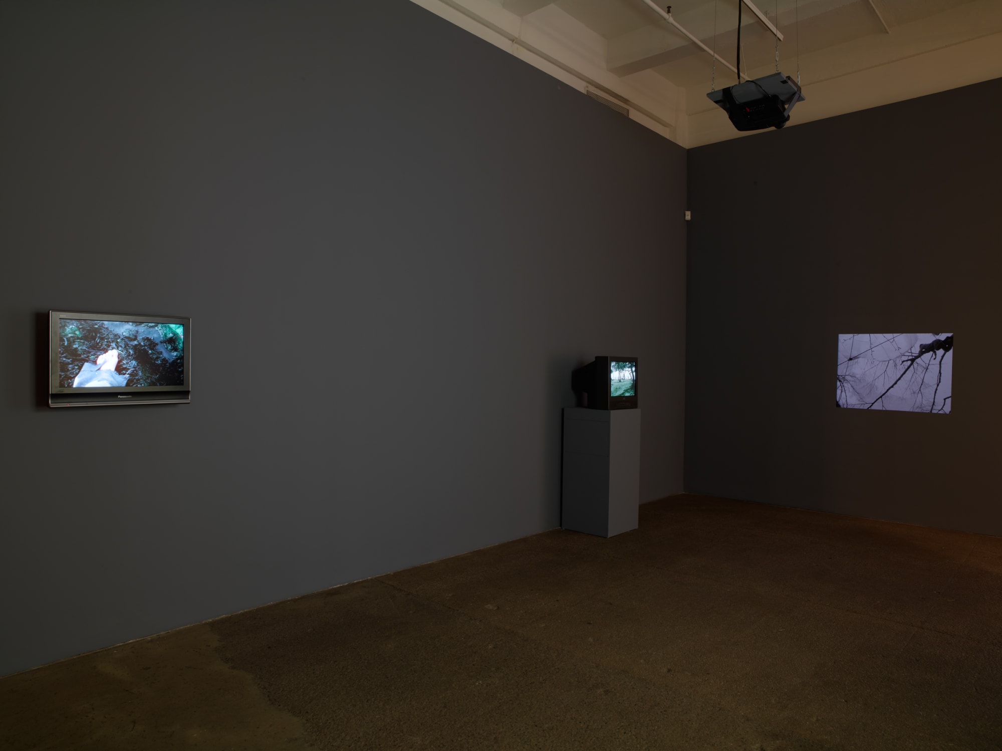 Interventions in the Landscape