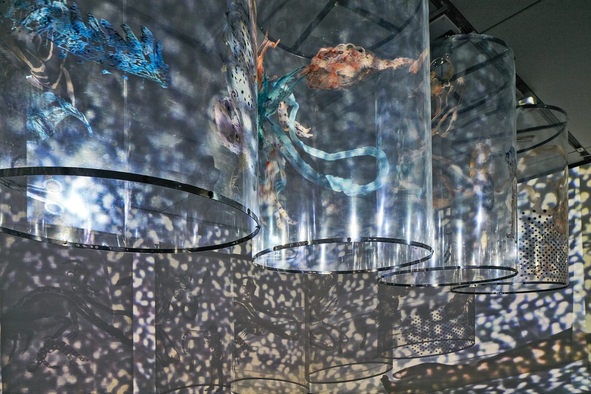 Nalini Malani: In Search of Vanished Blood