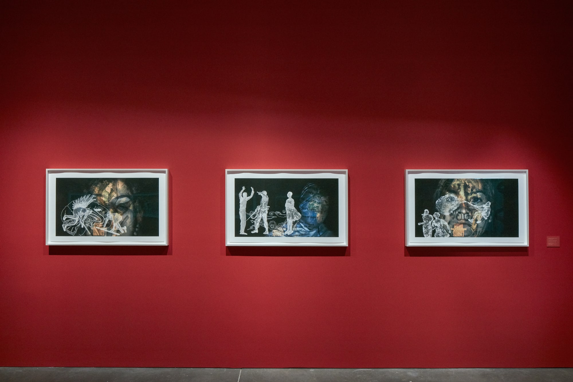 Nalini Malani: In Search of Vanished Blood