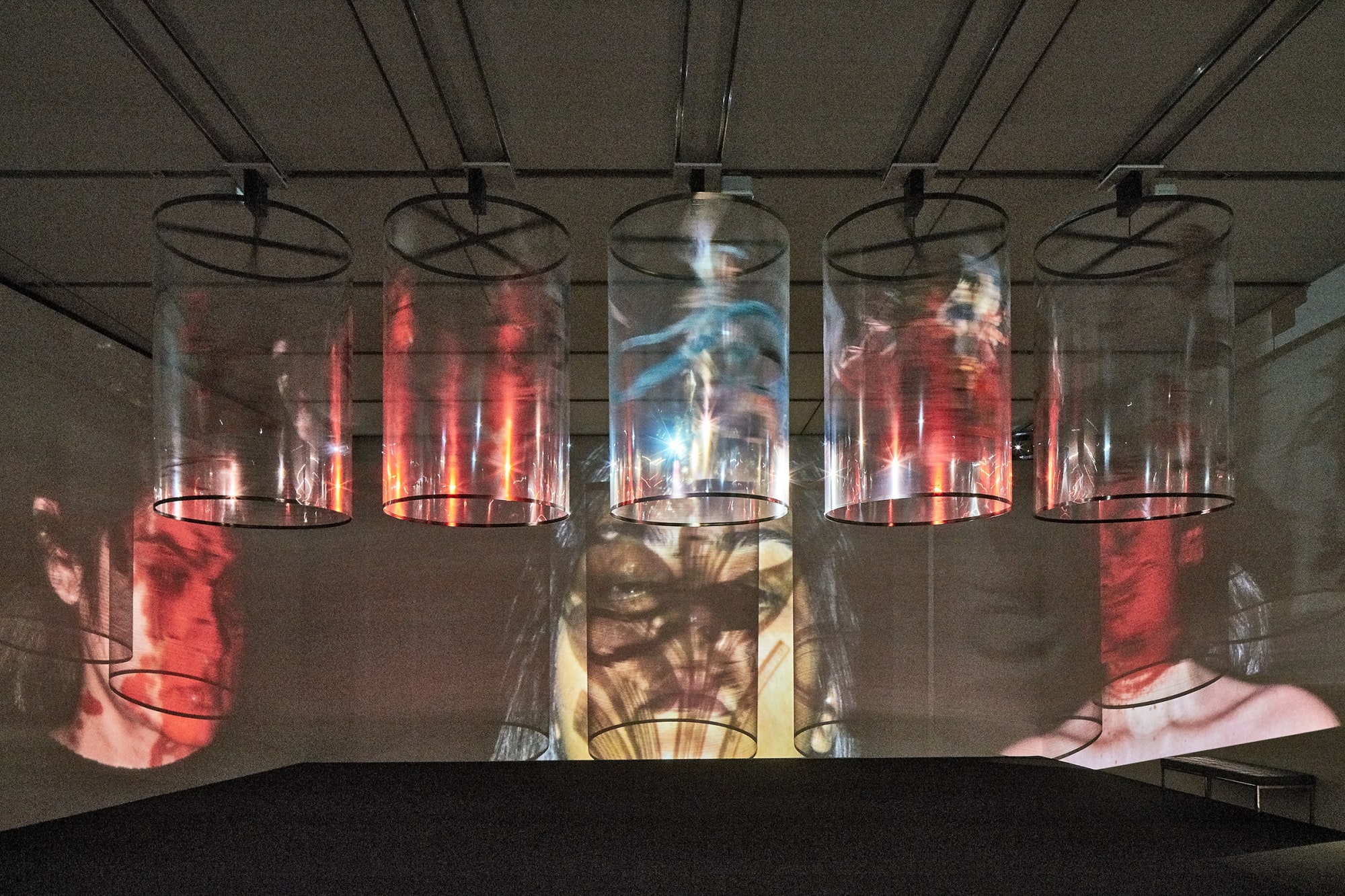 Nalini Malani: In Search of Vanished Blood