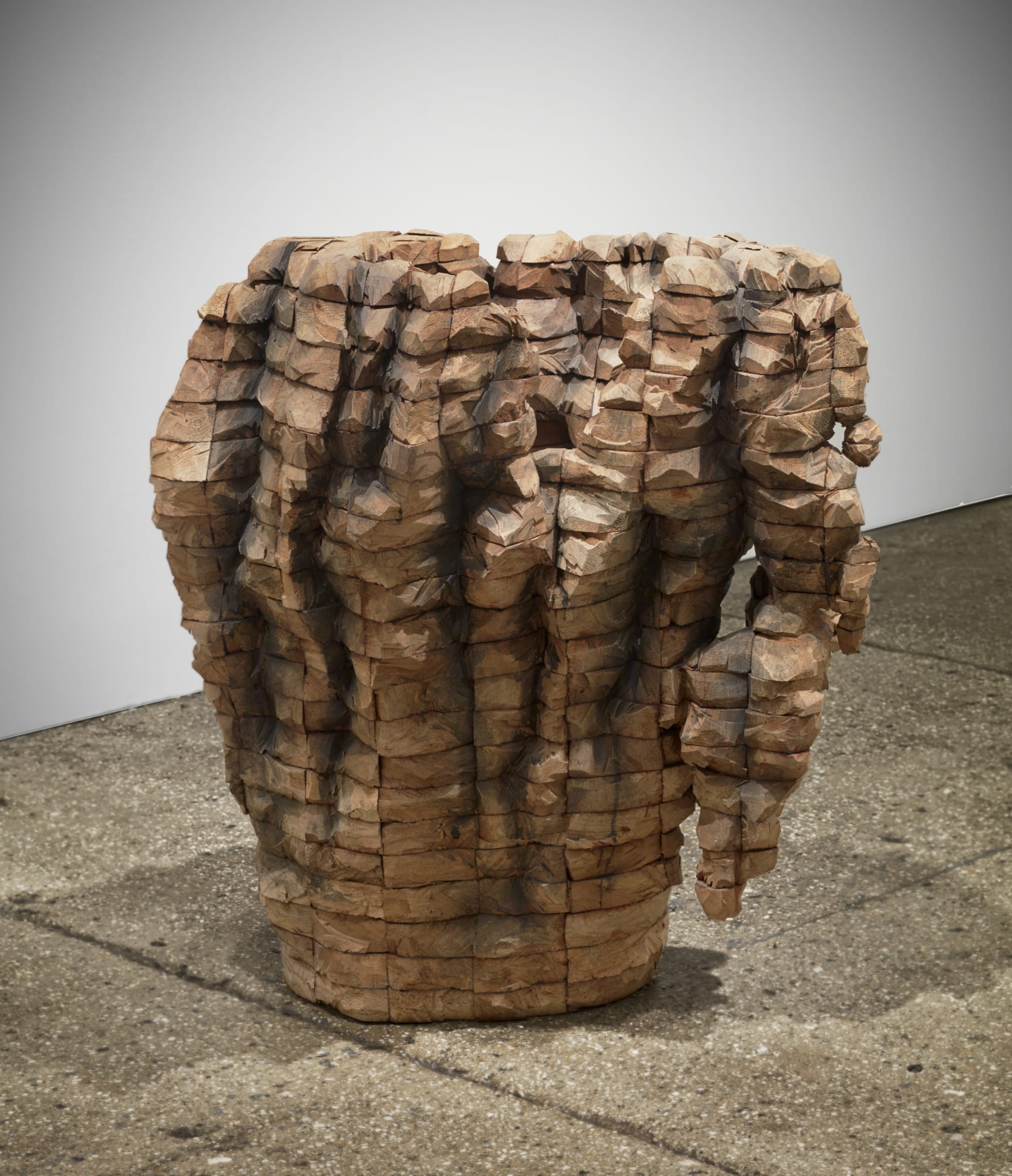 Ursula von Rydingsvard: Permeated Shield
