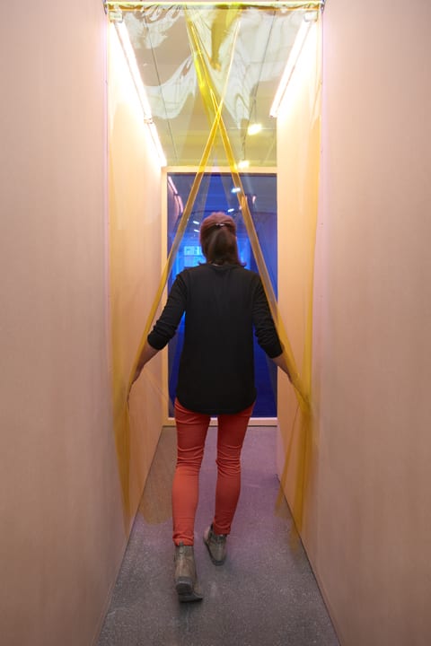 Hélio Oiticica