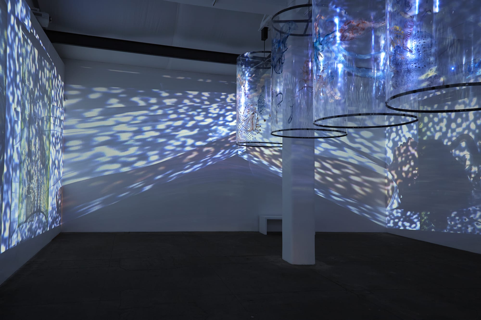 Nalini Malani: In Search of Vanished Blood