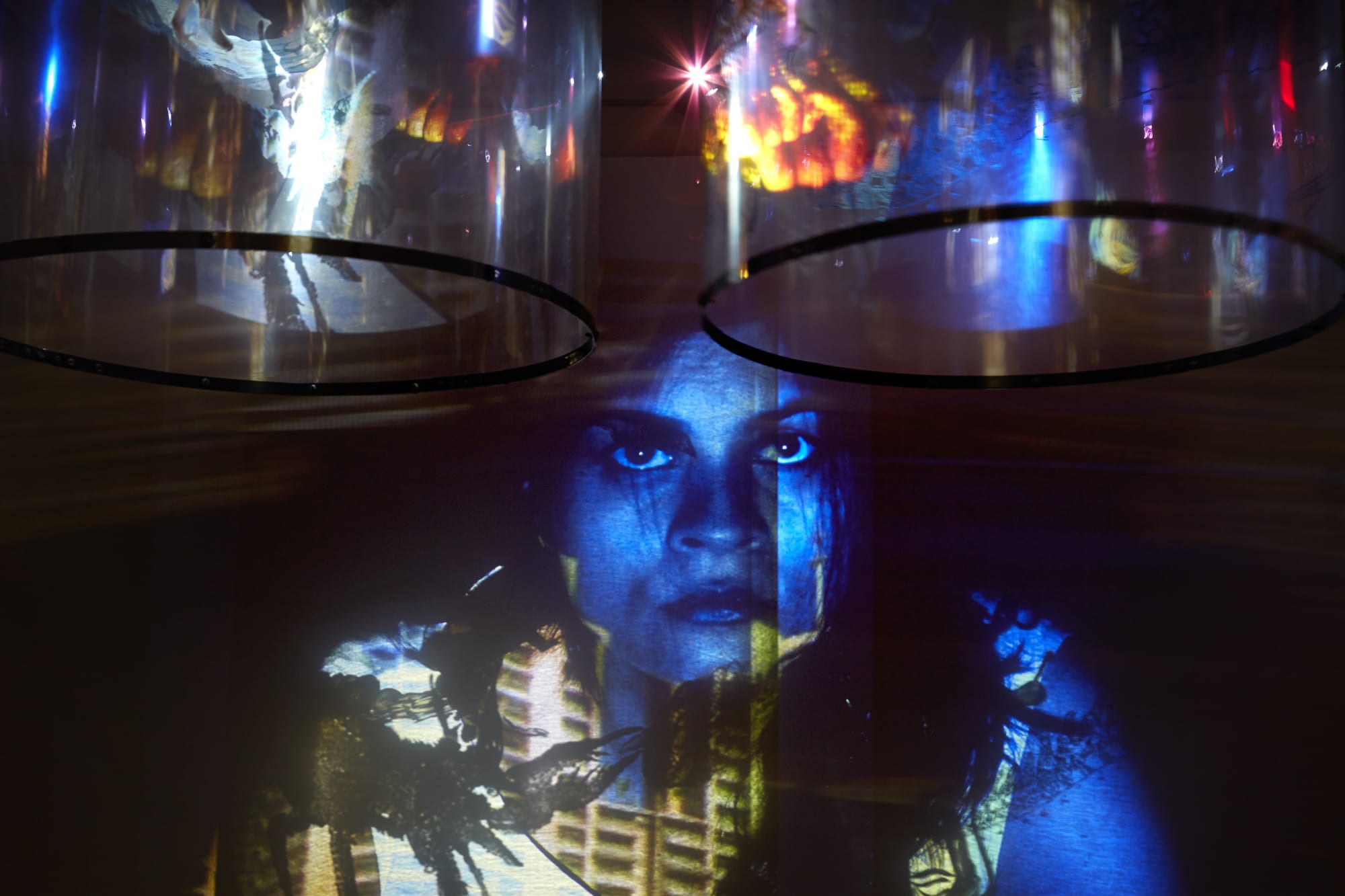 Nalini Malani: In Search of Vanished Blood