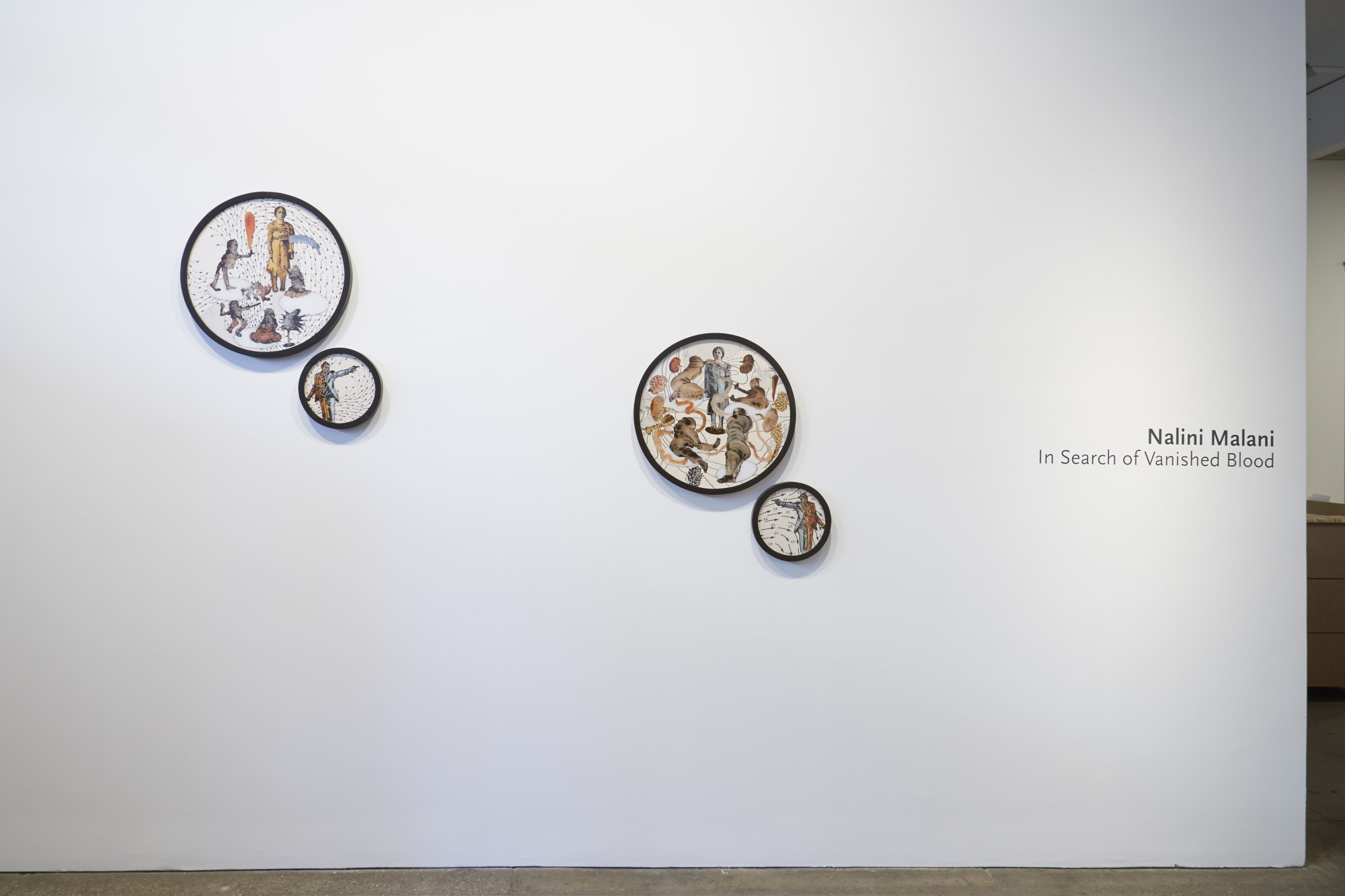 Nalini Malani: In Search of Vanished Blood