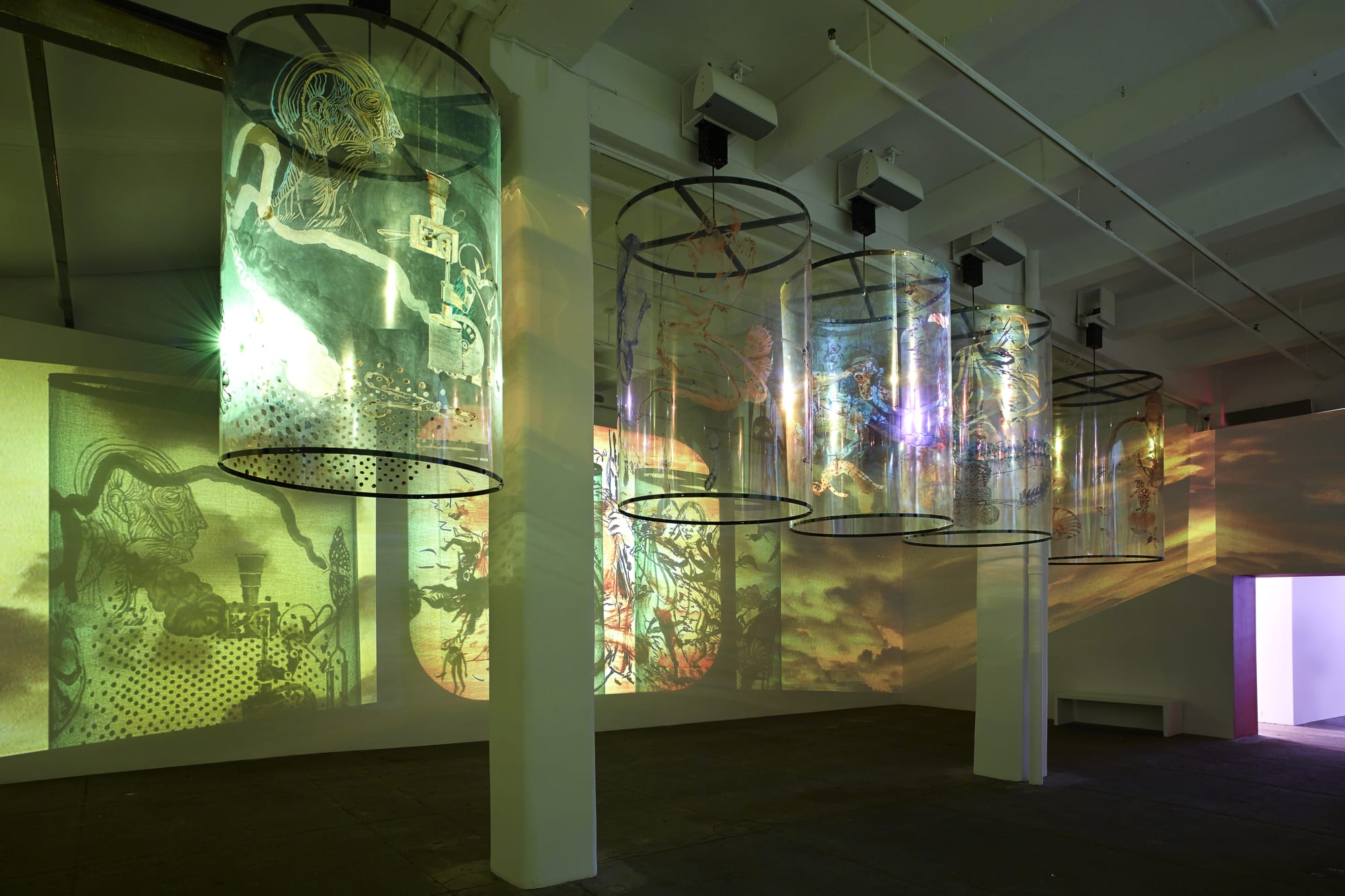 Nalini Malani: In Search of Vanished Blood