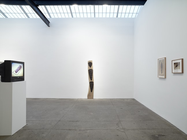 Ana Mendieta: Documentation and Artwork, 1972–1985