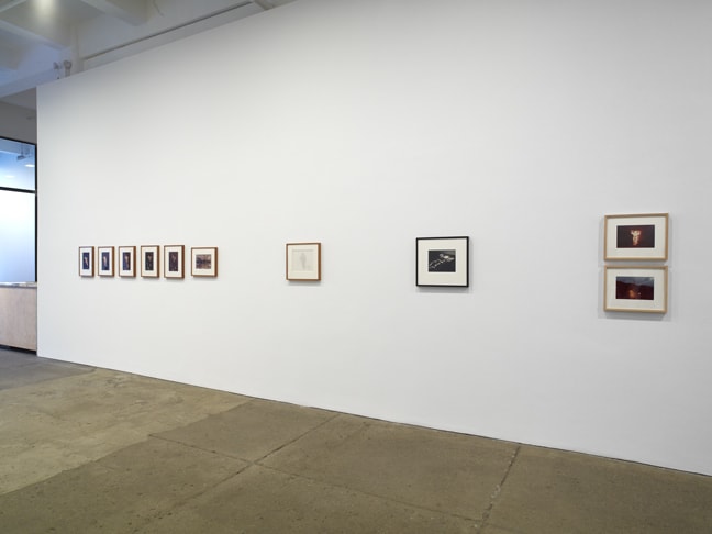 Ana Mendieta: Documentation and Artwork, 1972–1985
