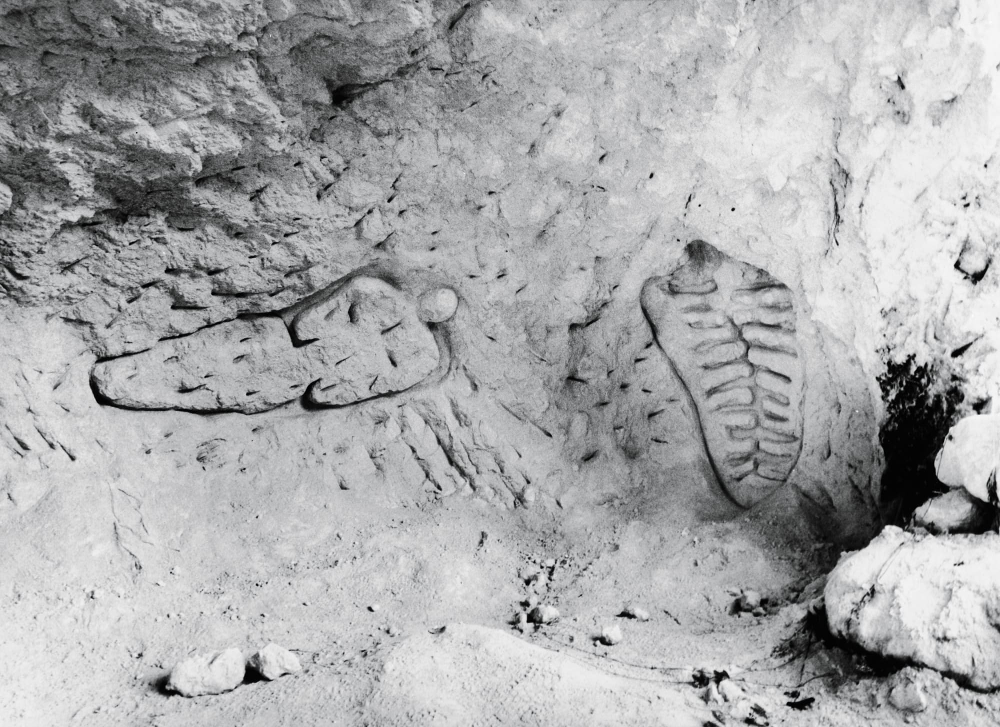Ana Mendieta: La tierra habla (The Earth Speaks)