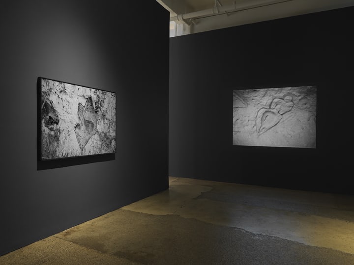 Ana Mendieta: La tierra habla (The Earth Speaks)