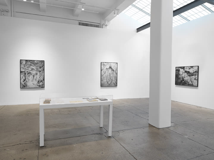 Ana Mendieta: La tierra habla (The Earth Speaks)