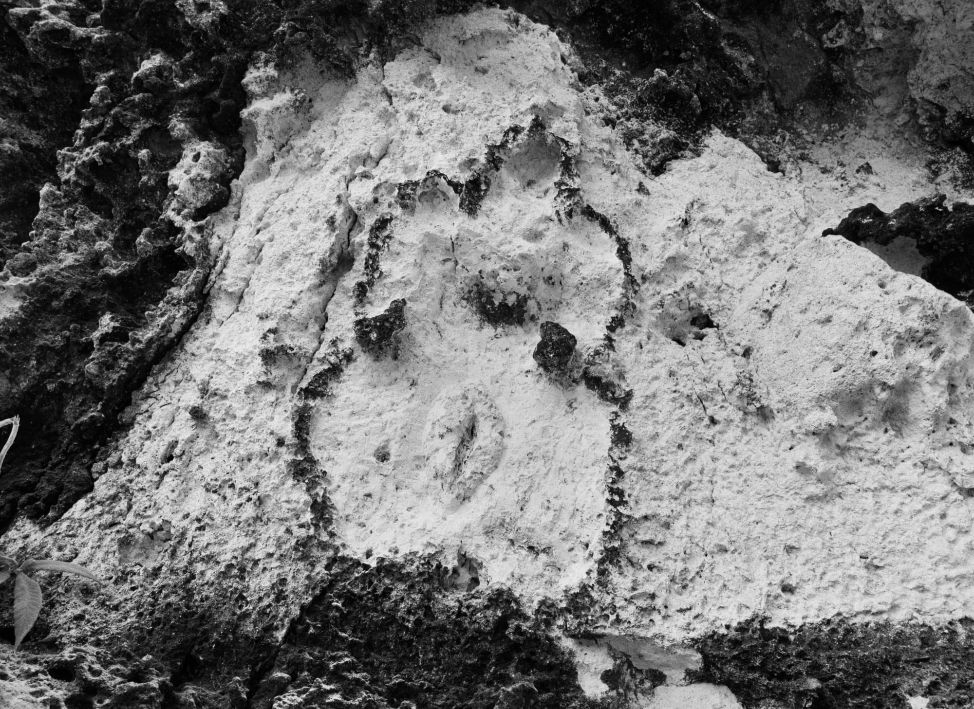 Ana Mendieta: La tierra habla (The Earth Speaks)