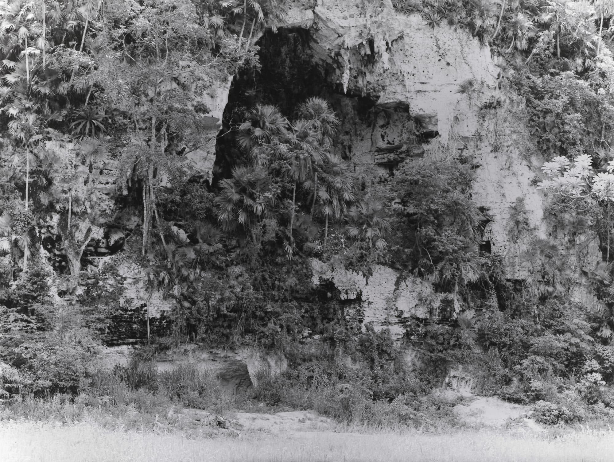 Ana Mendieta: La tierra habla (The Earth Speaks)