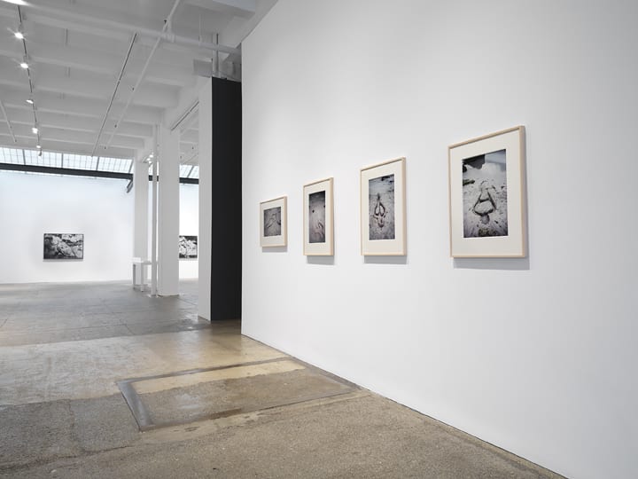 Ana Mendieta: La tierra habla (The Earth Speaks)