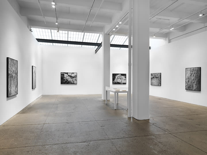 Ana Mendieta: La tierra habla (The Earth Speaks)
