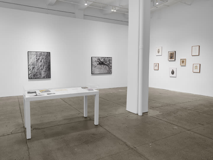 Ana Mendieta: La tierra habla (The Earth Speaks)