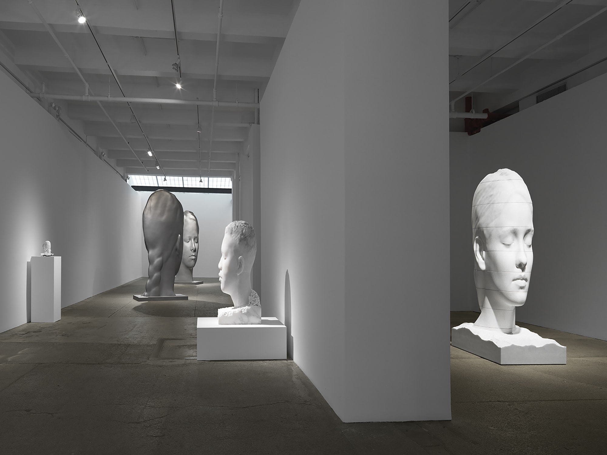 Jaume Plensa: NEST