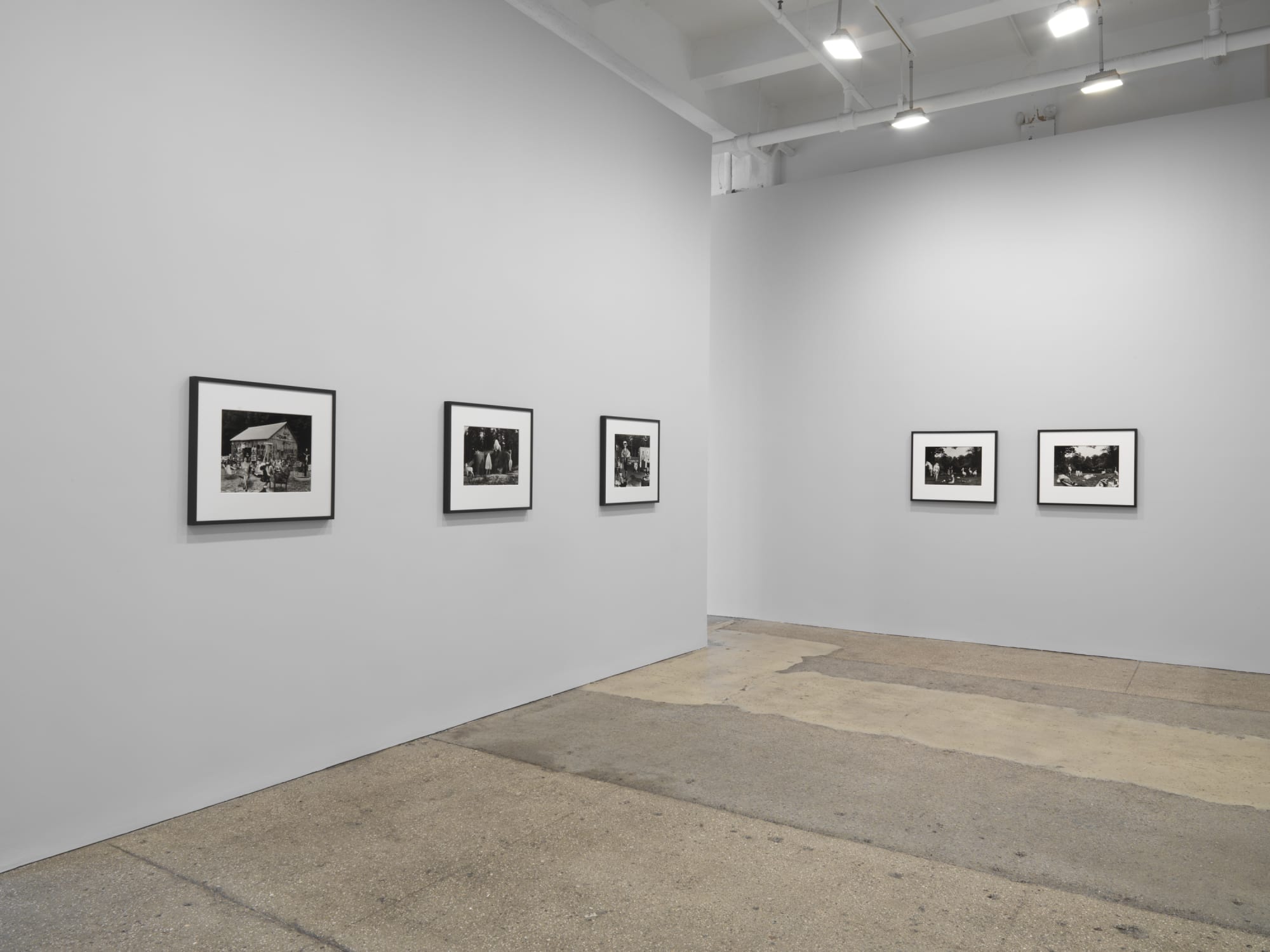 Jane Hammond: Search Light