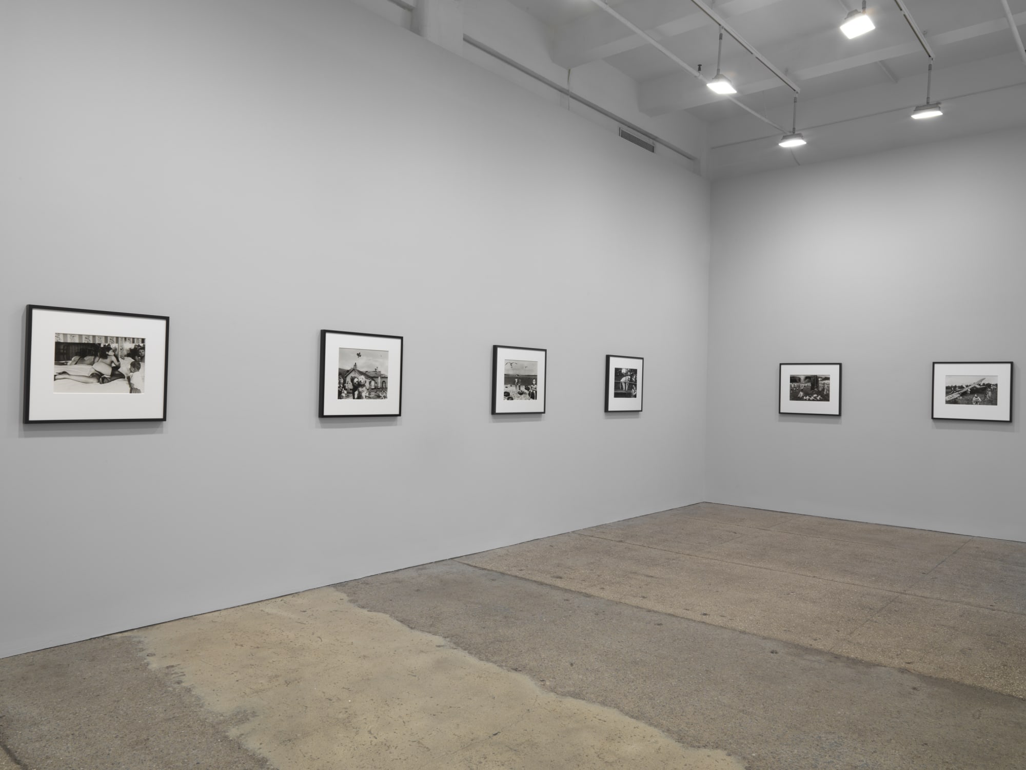 Jane Hammond: Search Light