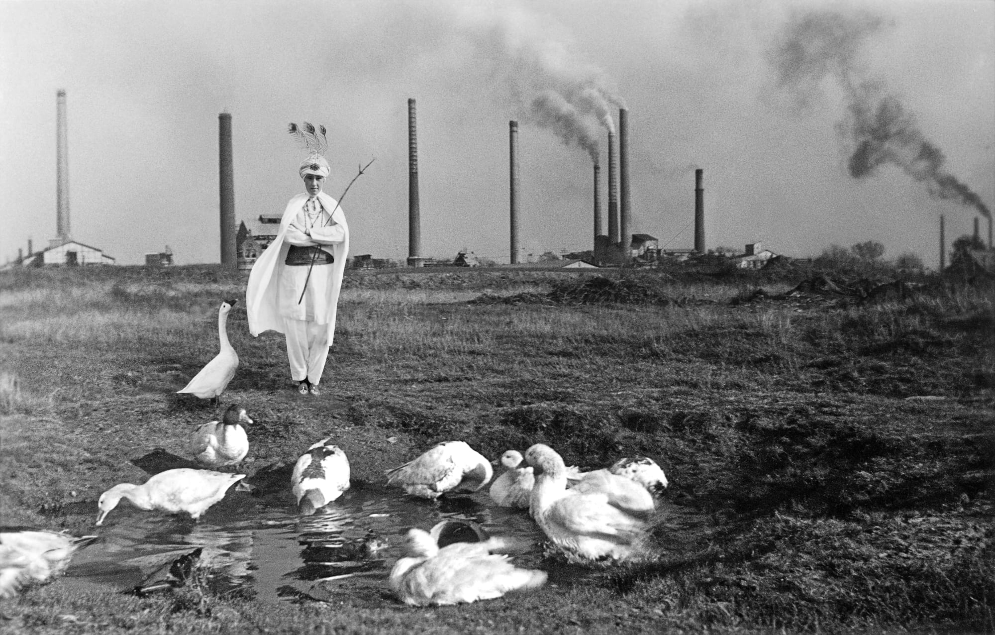 Jane Hammond: Light Now: Dazzle Paintings and Photographs