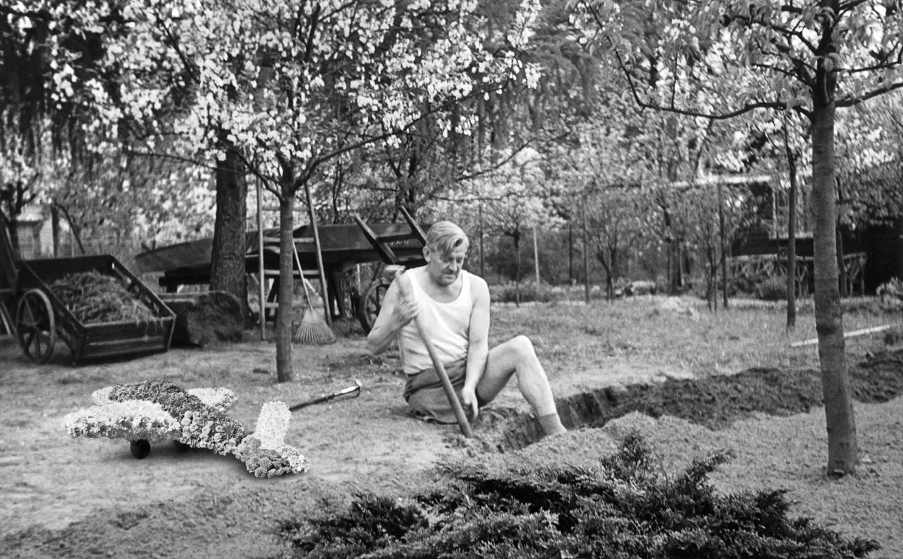 Jane Hammond: Light Now: Dazzle Paintings and Photographs