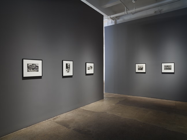 Jane Hammond: Light Now: Dazzle Paintings and Photographs