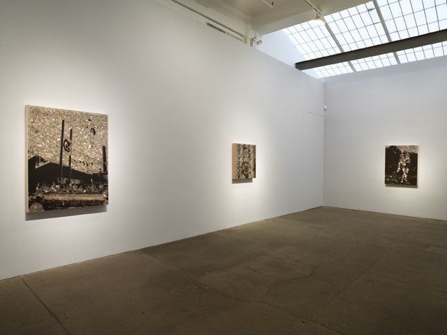 Jane Hammond: Light Now: Dazzle Paintings and Photographs