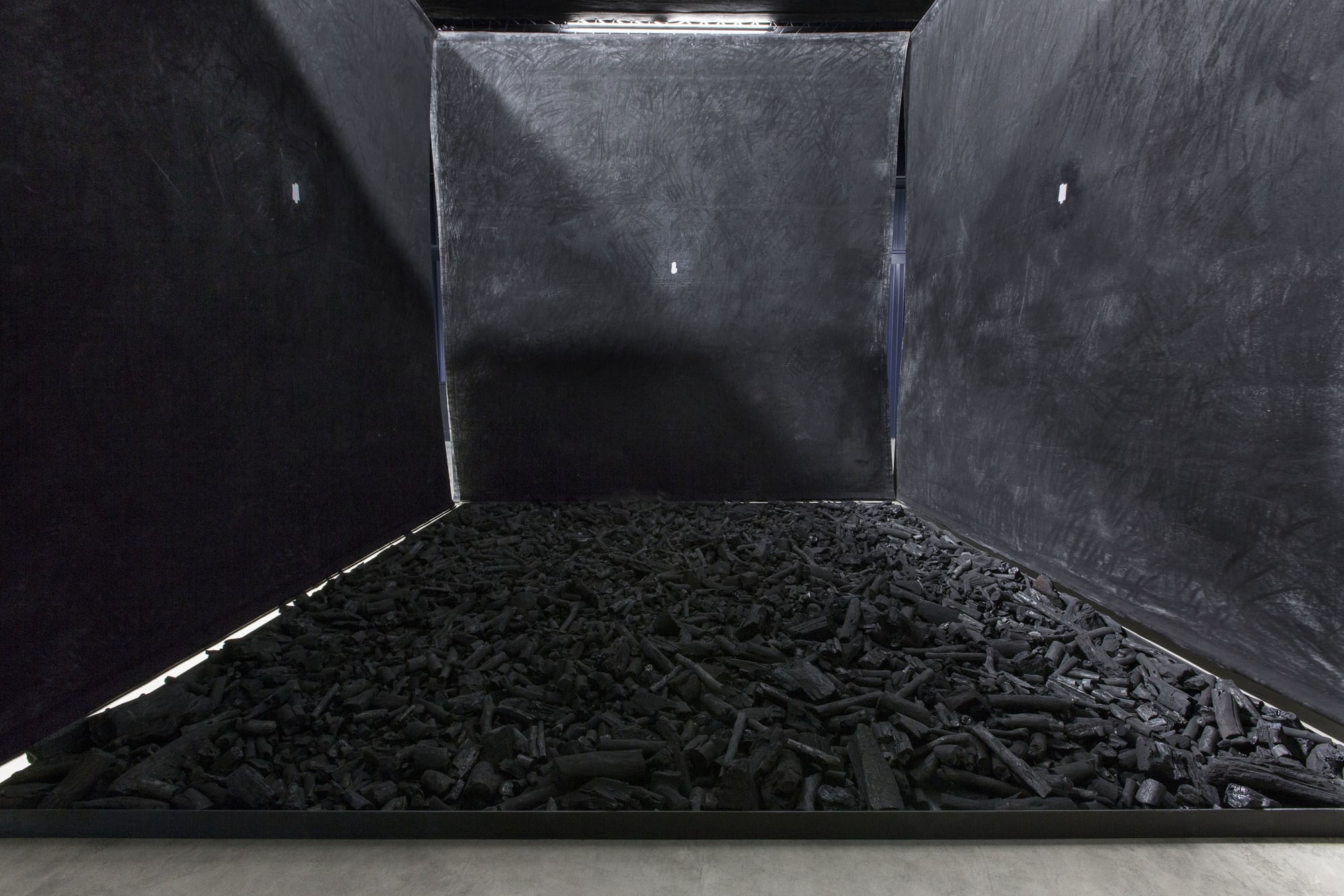 Cildo Meireles: Installations