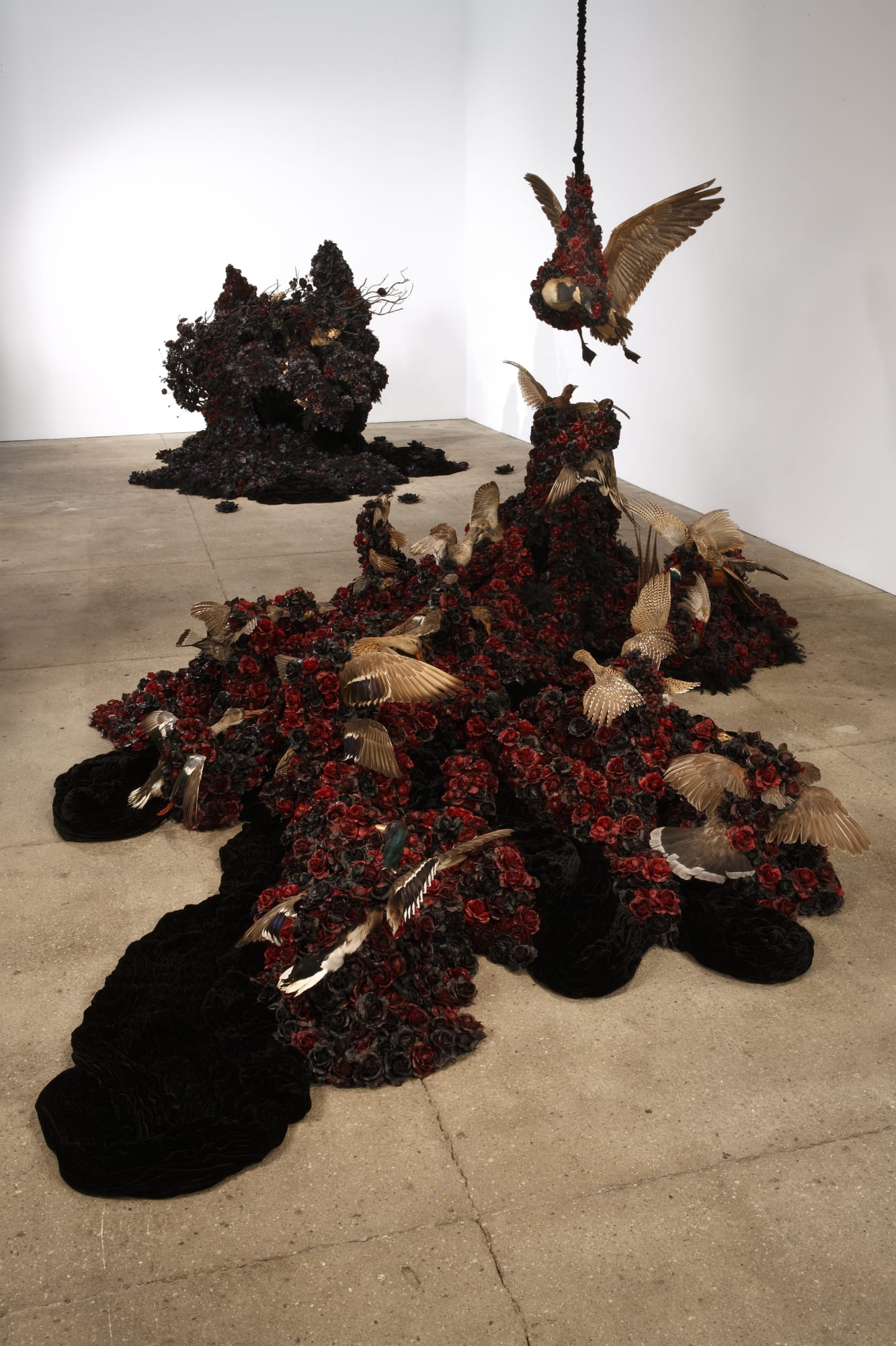 Petah Coyne: Vermilion Fog