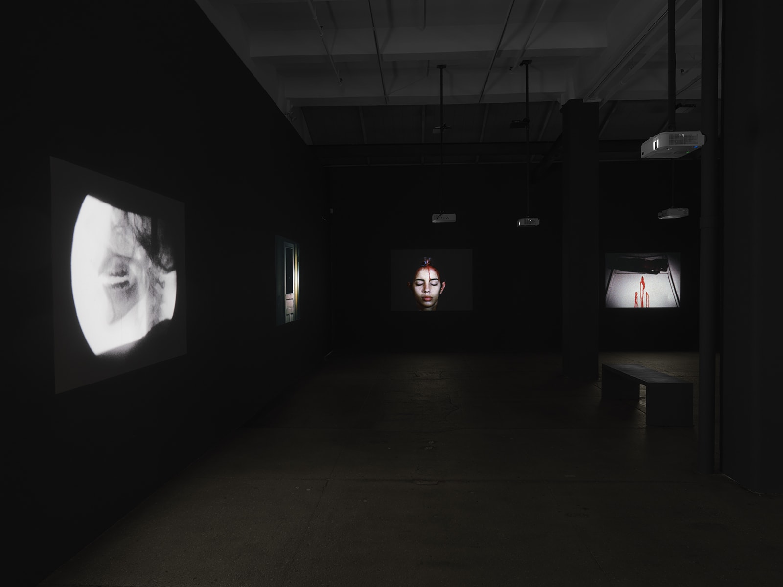 Ana Mendieta: Experimental and Interactive Films