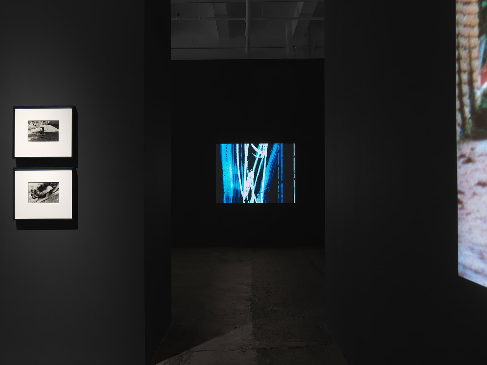 Ana Mendieta: Experimental and Interactive Films