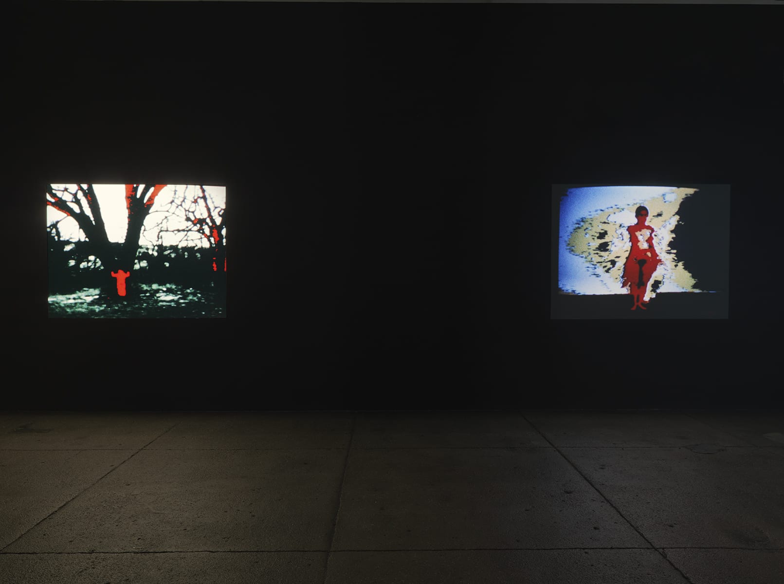 Ana Mendieta: Experimental and Interactive Films