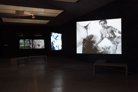 Carolee Schneemann