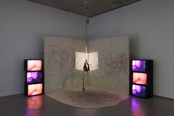 Carolee Schneemann