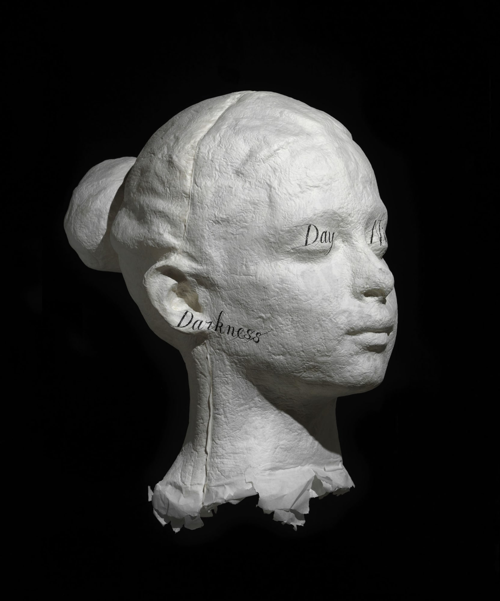 Jaume Plensa: Talking Continents