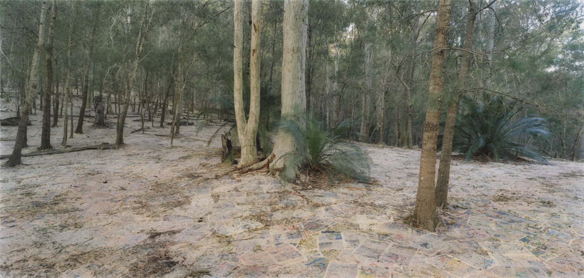 Rosemary Laing: The Paper