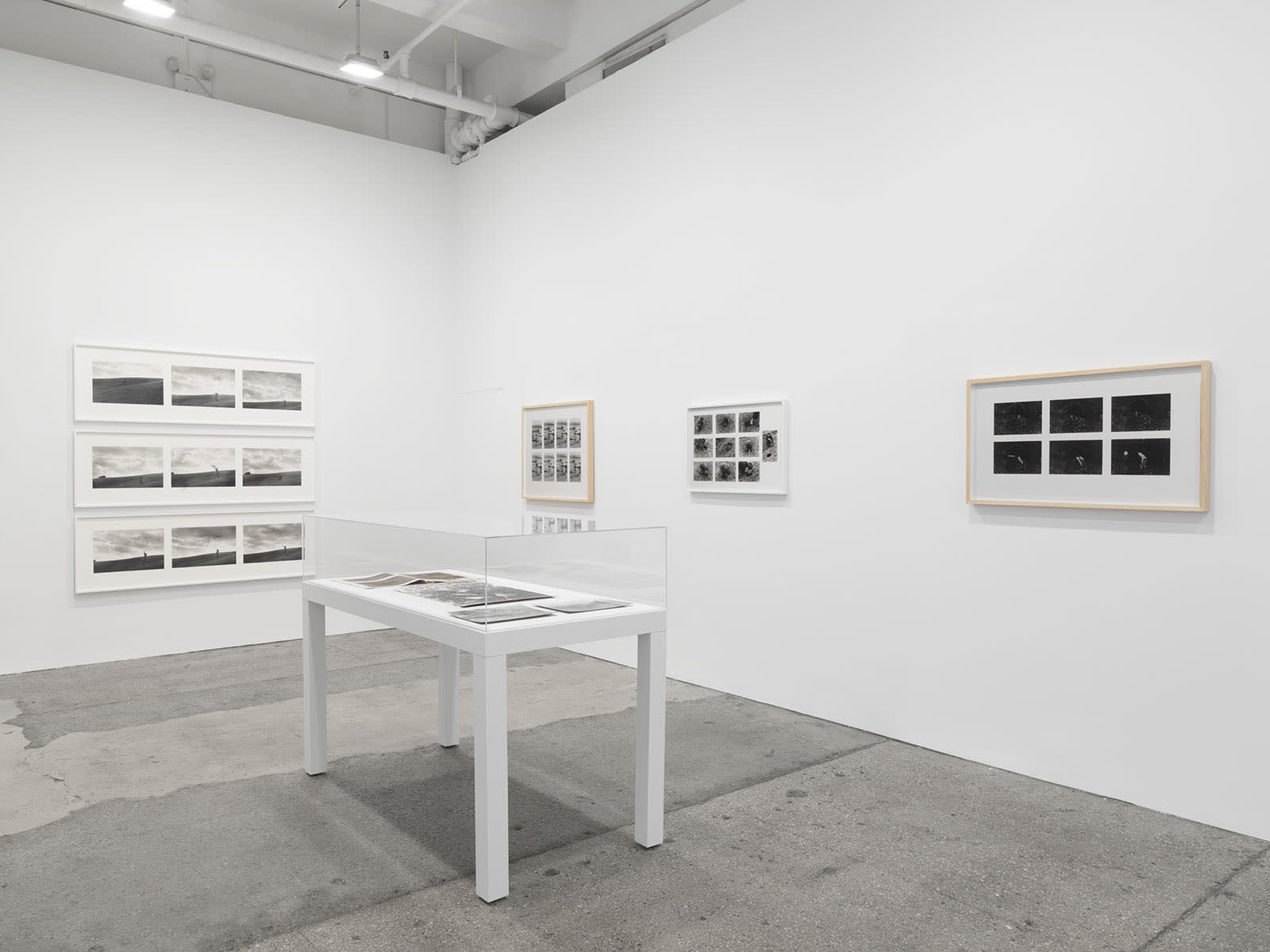 Andy Goldsworthy: Leaning into the Wind