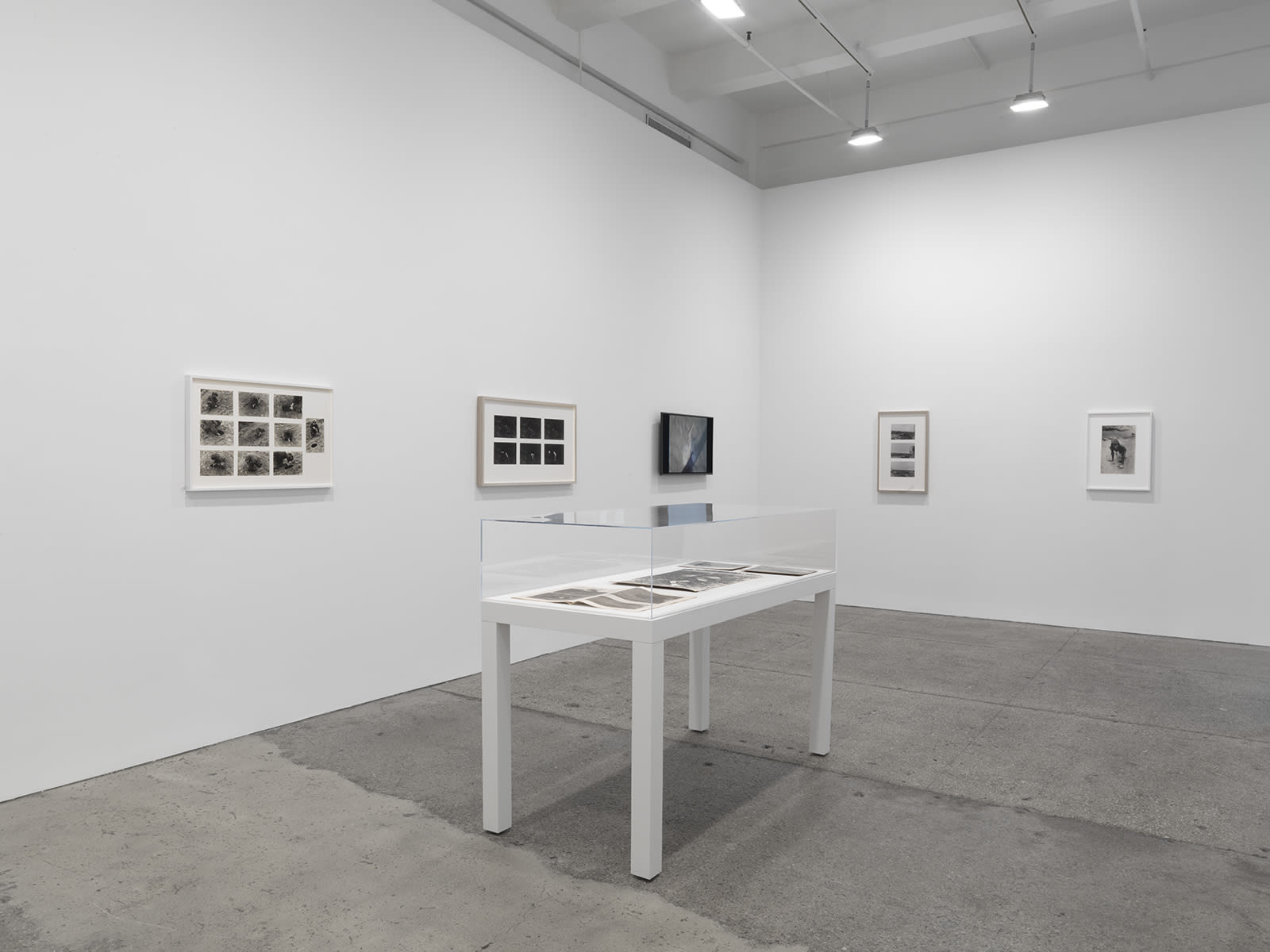 Andy Goldsworthy: Leaning into the Wind