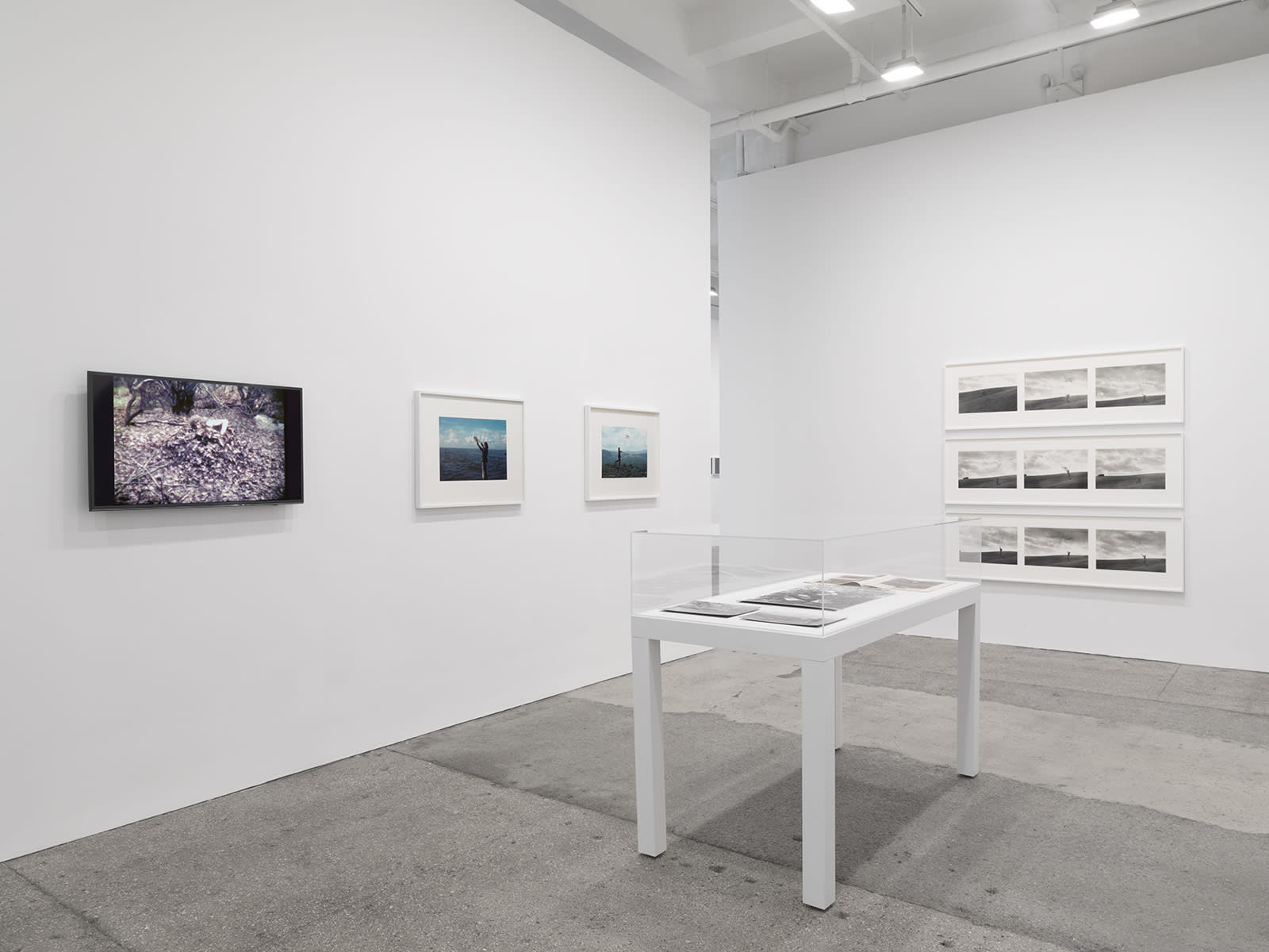 Andy Goldsworthy: Leaning into the Wind