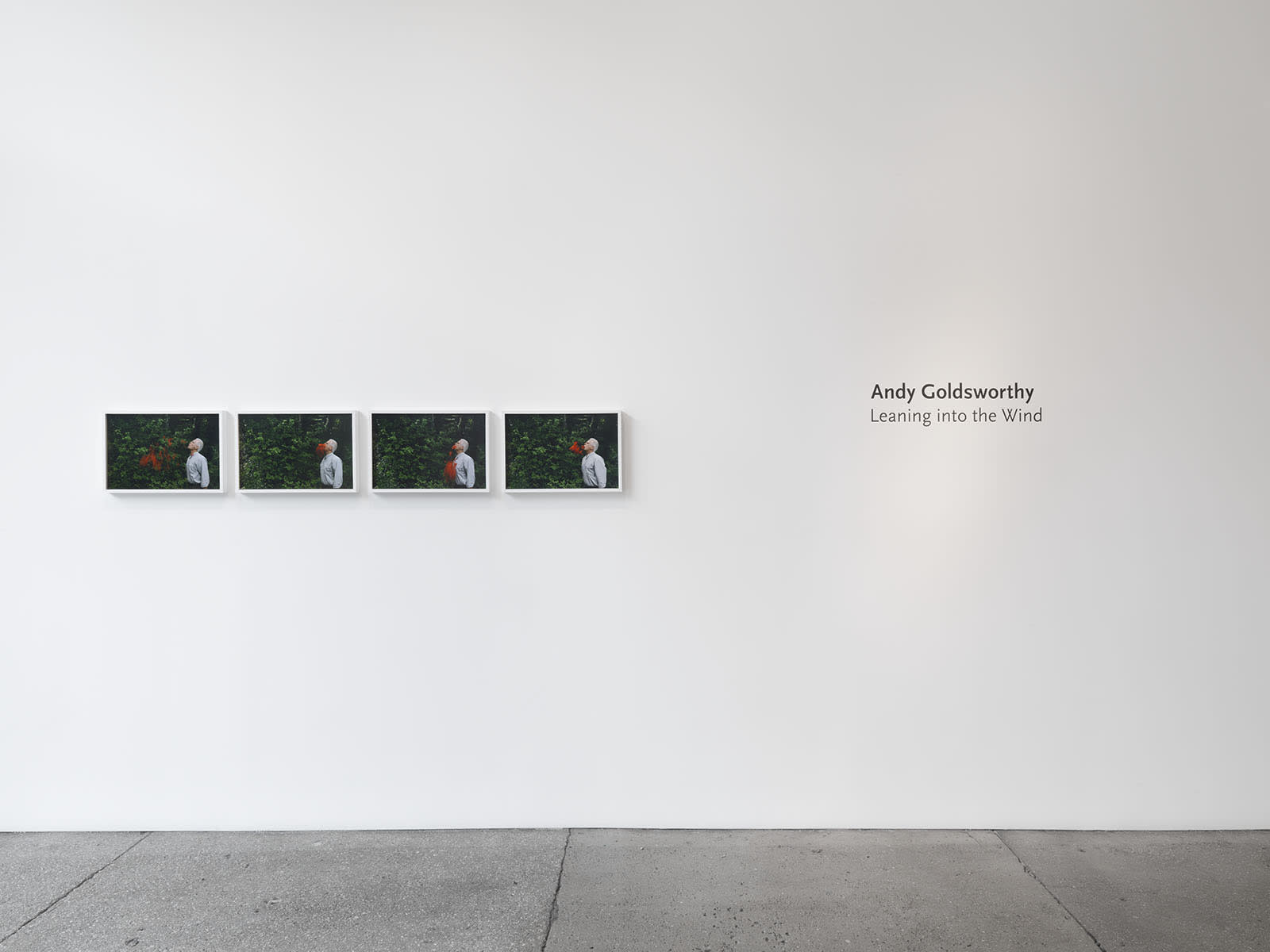 Andy Goldsworthy: Leaning into the Wind